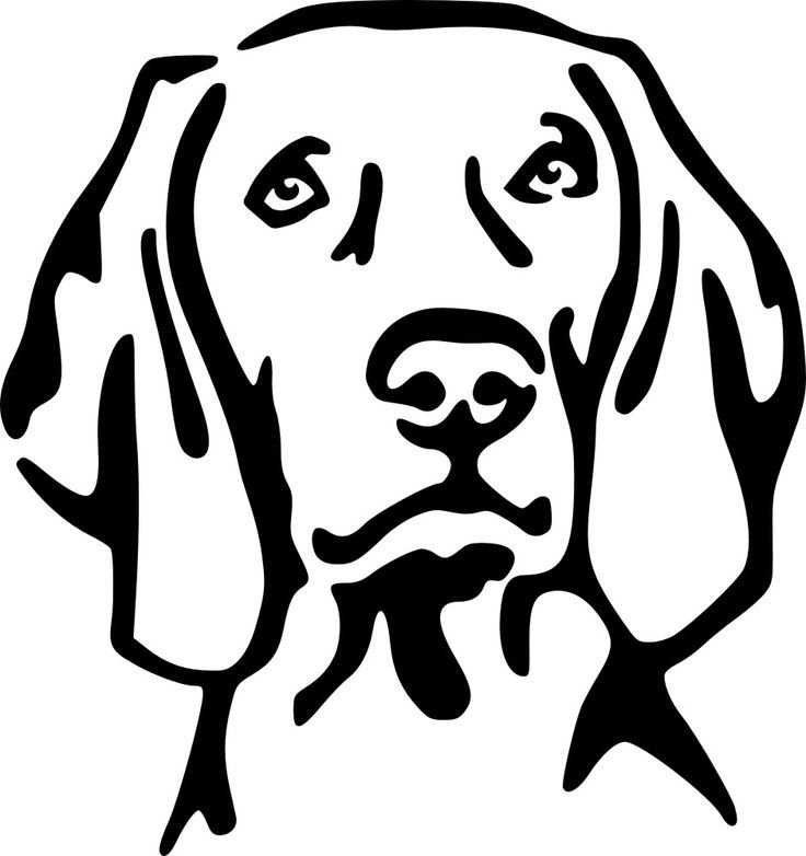 Веймаранер вектор