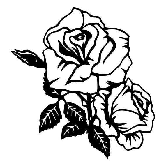 Черно-белый цветок