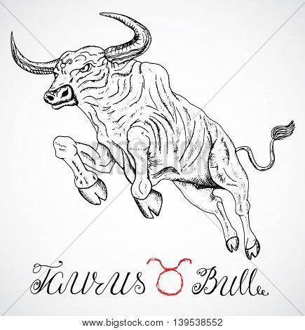 Знак зодиака Телец рисунок