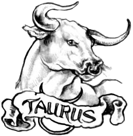 Телец Taurus бык тату