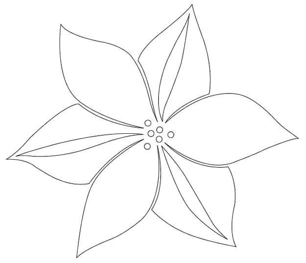 Цветок шаблон