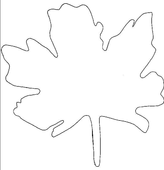 Трафарет осенних листьев