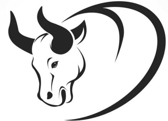 Бык рисунок