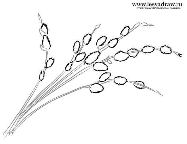 Рисование веточка вербы