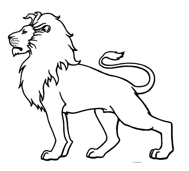 Лев контурный рисунок