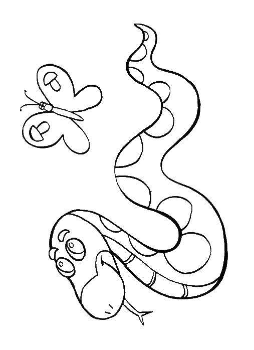 Змея раскраска для детей