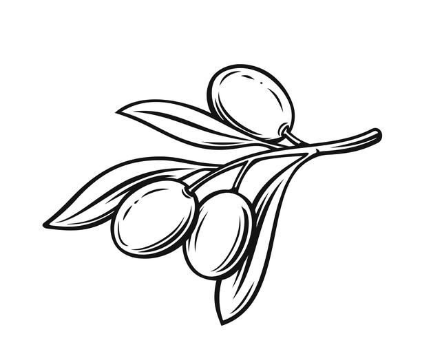 Оливки карандашом