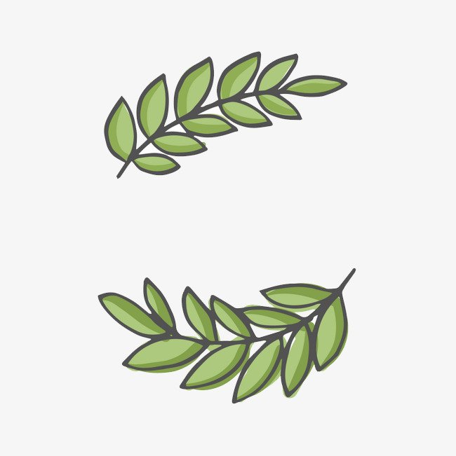 Оливковая ветвь