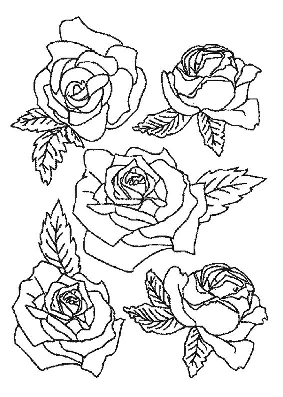 Роза раскраска для детей