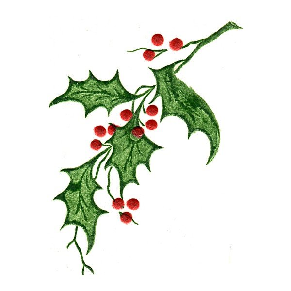 Листья омелы