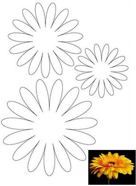 Шаблоны цветов для печати