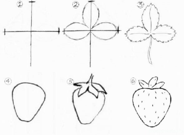 Листья клубники рисунок
