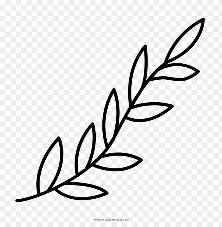 Веточка контур