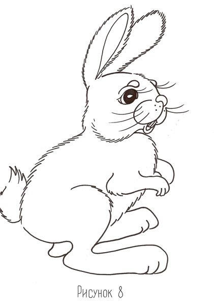 Раскраска Белочка