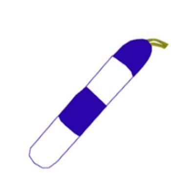 Жезл регулировщика