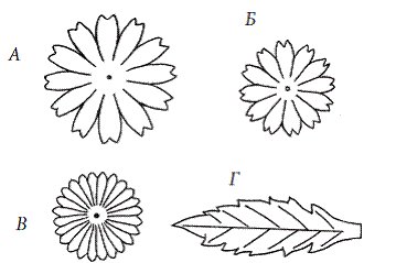 Трафарет ромашки для фоамирана
