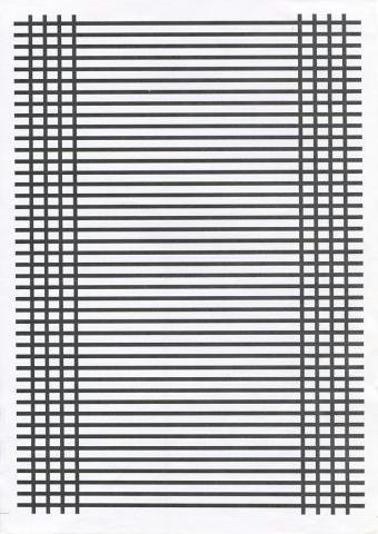 Зебра для рапорта а4 военнослужащим