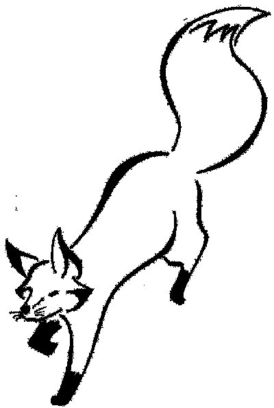 Очертания лисы