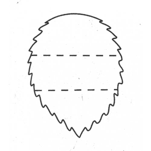 Лист земляники шаблон