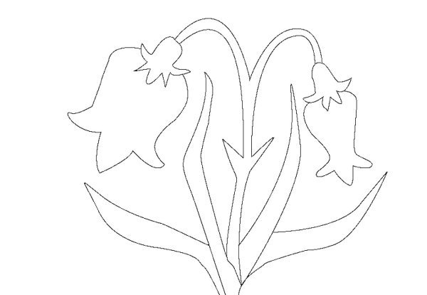 колокольчик цветок