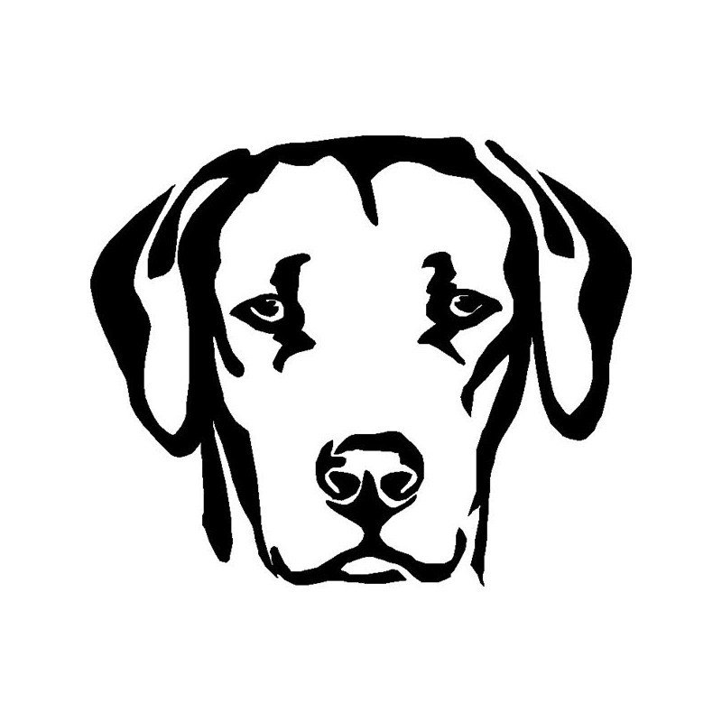 Лабрадор силуэт морда
