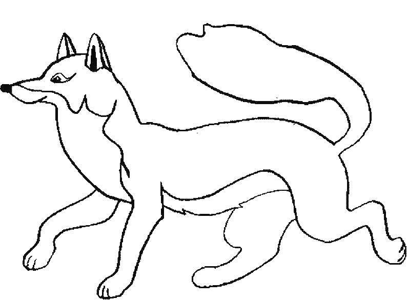Раскраска Лисичка