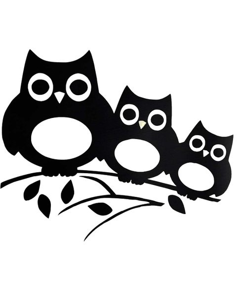 забавные животные