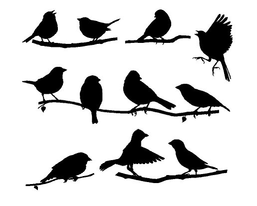 Силуэт птицы