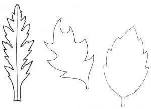 Трафареты листиков для цветов