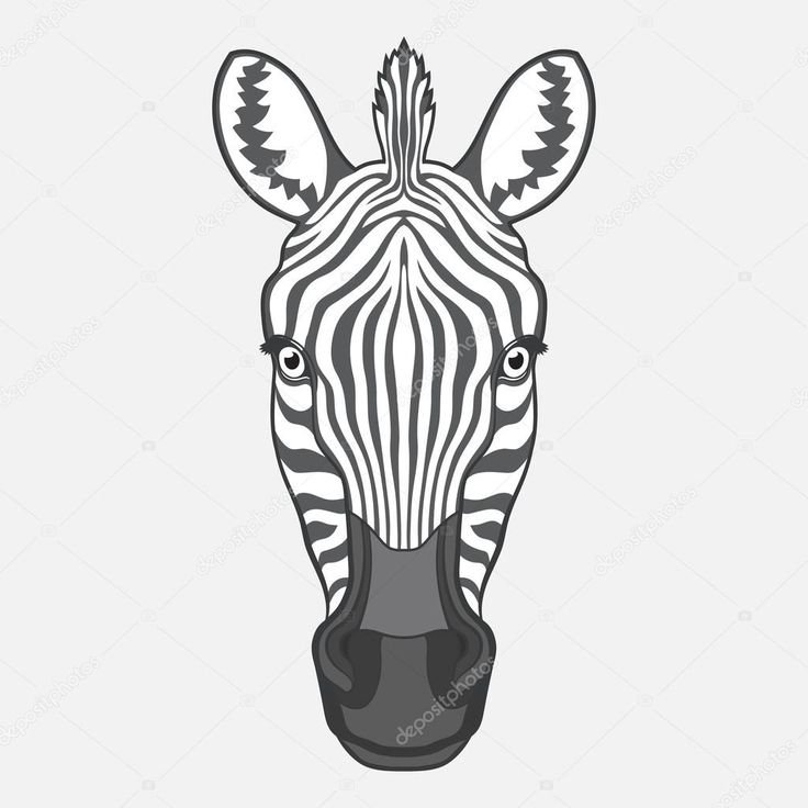 Зебра морда