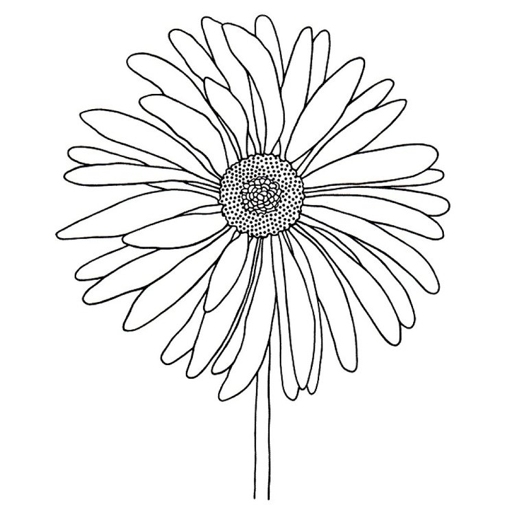 Ромашка раскраска для детей