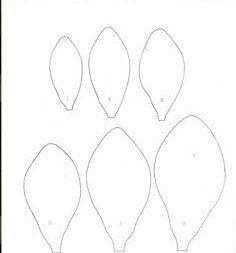 Лепестки магнолии